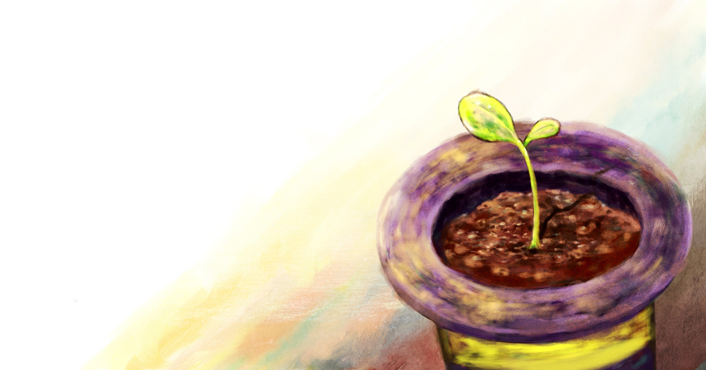 little leaf